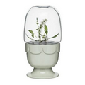 Planter on Stand w/ Glass Dome, Sage Green